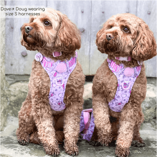 Pawsome Paws Boutique x Disney Tough Trails Harness - Piglet