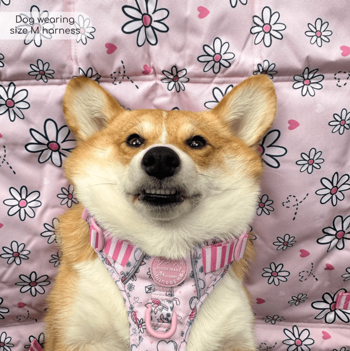 Pawsome Paws Boutique x Disney Tough Trails Harness - Piglet