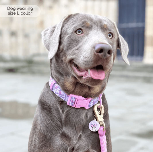 Pawsome Paws Boutique x Disney Collar - Piglet