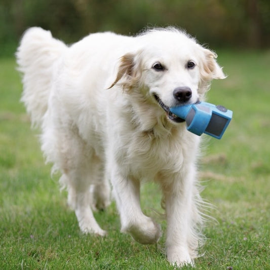 Percy Pick Up Truck Toy