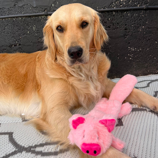 Pink Pig Dog Toy