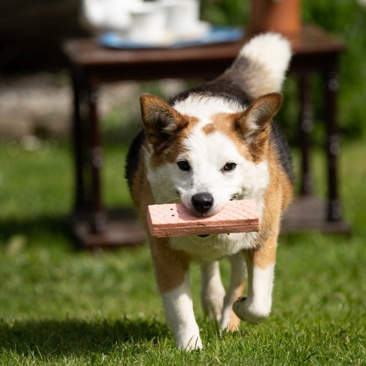 Pink Wafer Latex Dog Toy