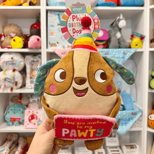 Plush Birthday Pal Toy