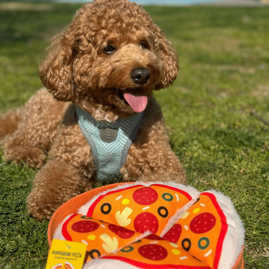 Pupperroni Pizza Interactive Dog Toy