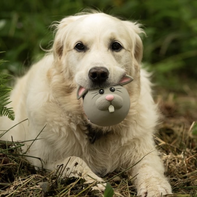 Rico Rabbit Latex Dog Toy