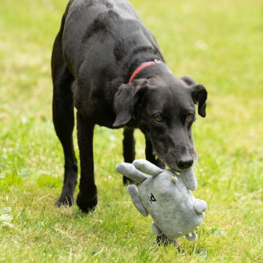 Rubberoid Robot Plush And Rubber Strong Dog Toy
