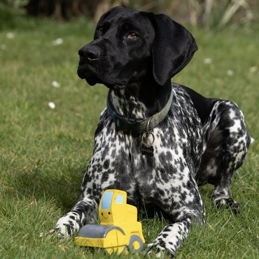 Rumble the Road Roller Toy