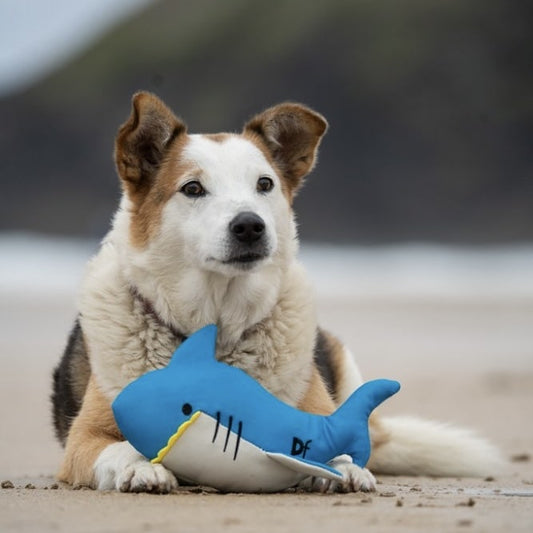 Salina Shark Toy