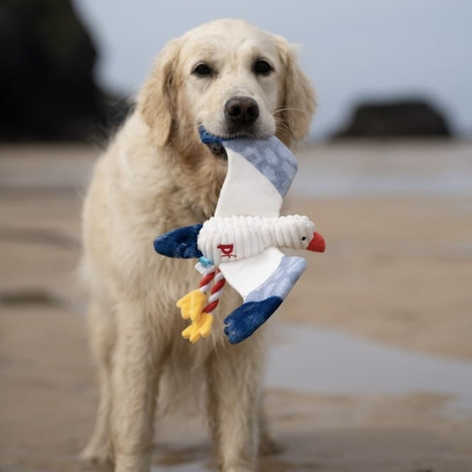Sammi Seagull Toy