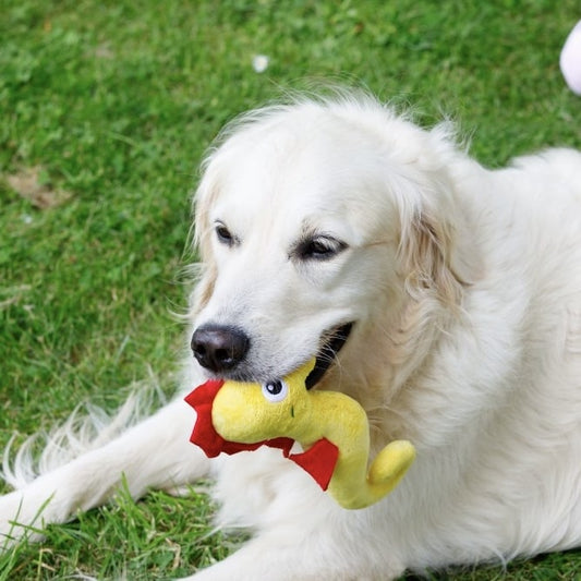 Sid Seahorse Dog Toy