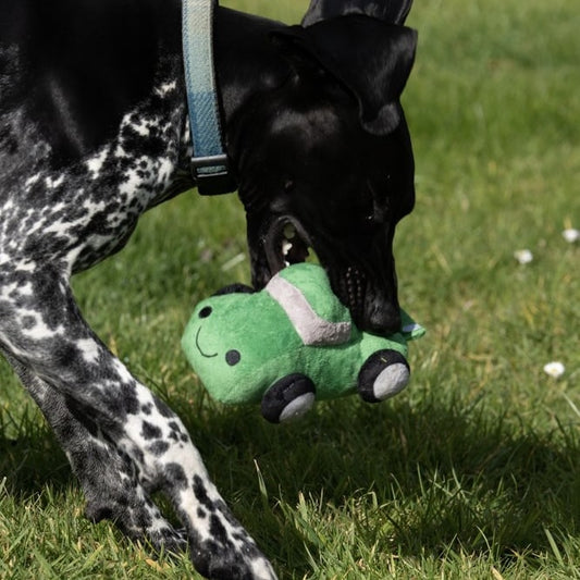 Speedy Steve the Racing Car Toy