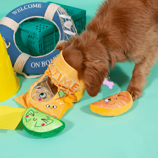 Summer Bag Hide and Seek Burrow Toy