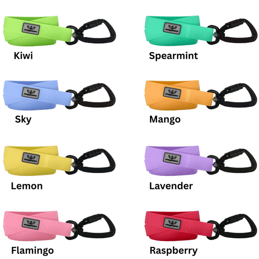 SwaggerPaws 10m Waterproof Longline Lead - Classic