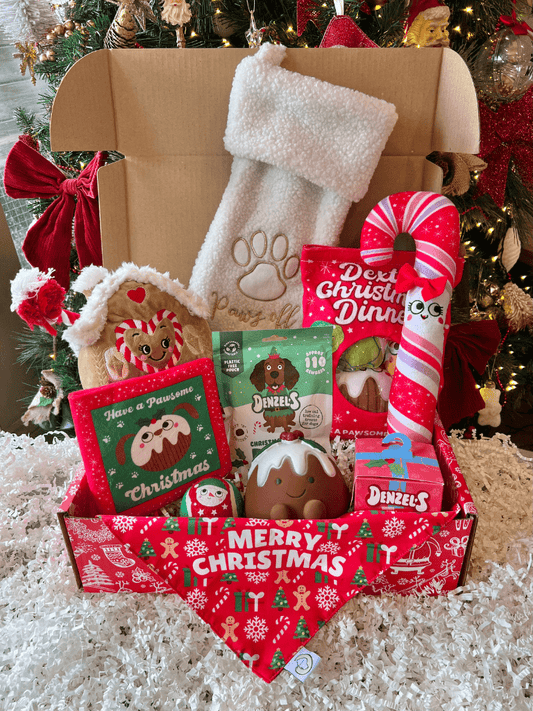 Ultimate Christmas Dog Hamper