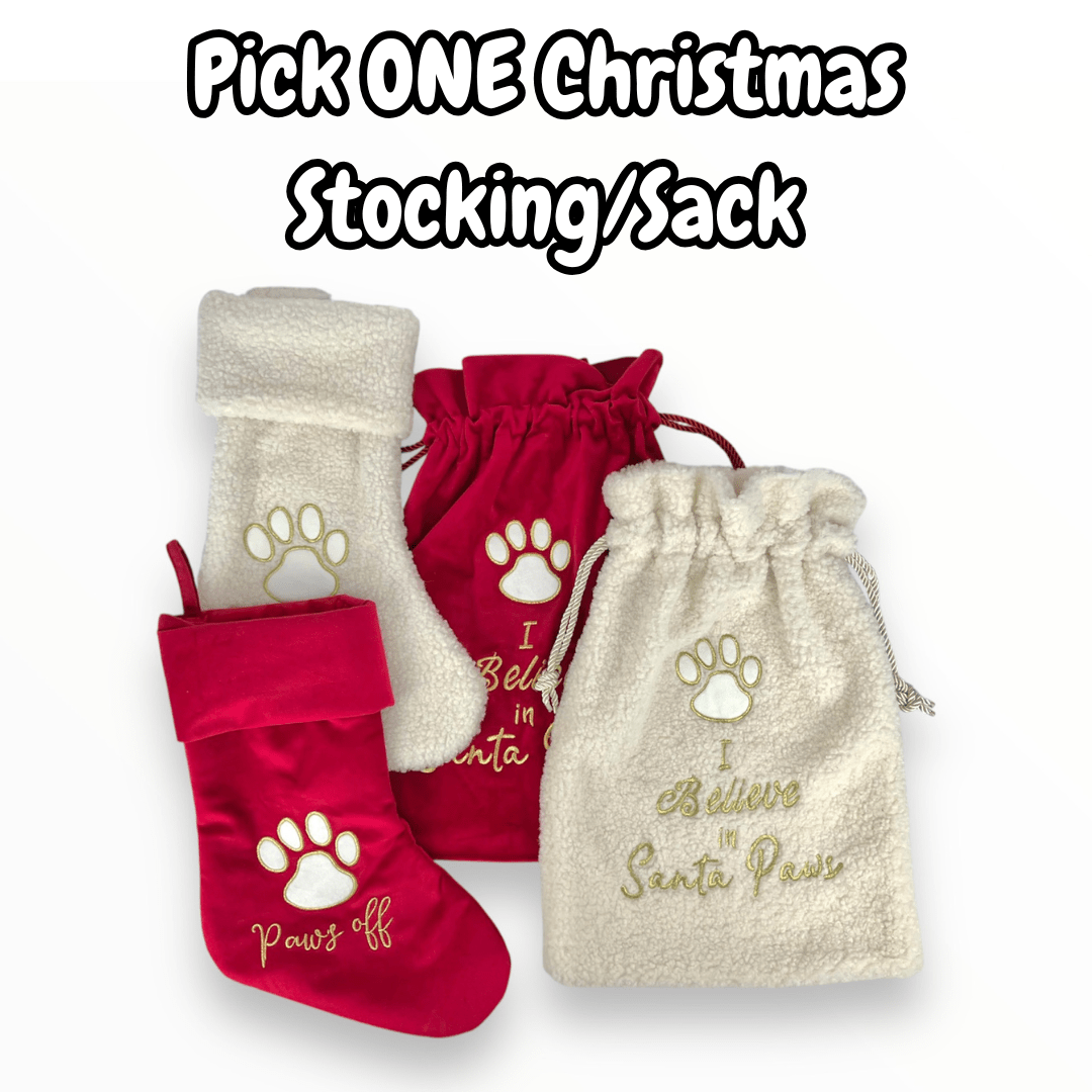 Winter Paws Dog Hamper