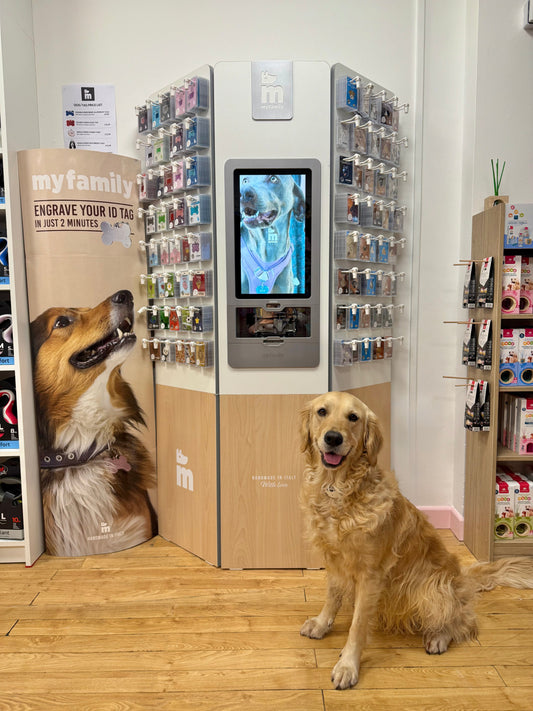 Dog ID Tag Engraving in Jersey – From Only £9.99