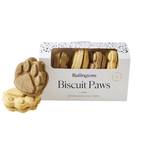 Biscuit Paws