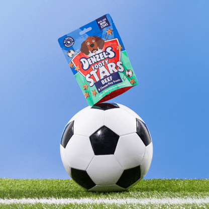 Footy Stars Dog Treats - Beef & Cheese