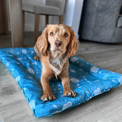 Ice Paws Cooling Bed Mat - 68 x 91cm