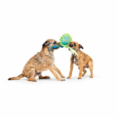 Bark x Crufts Best In Show Ribbon Dog Toy