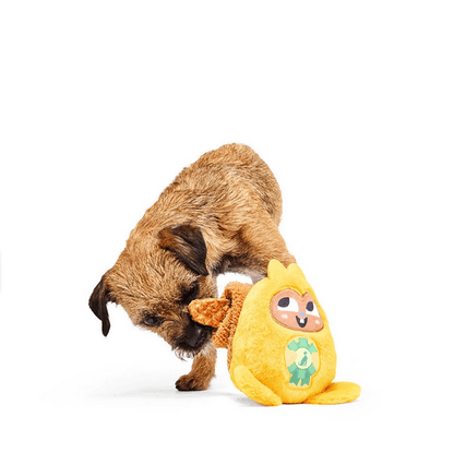 Bark x Crufts Best in Throw Judge Dog Toy