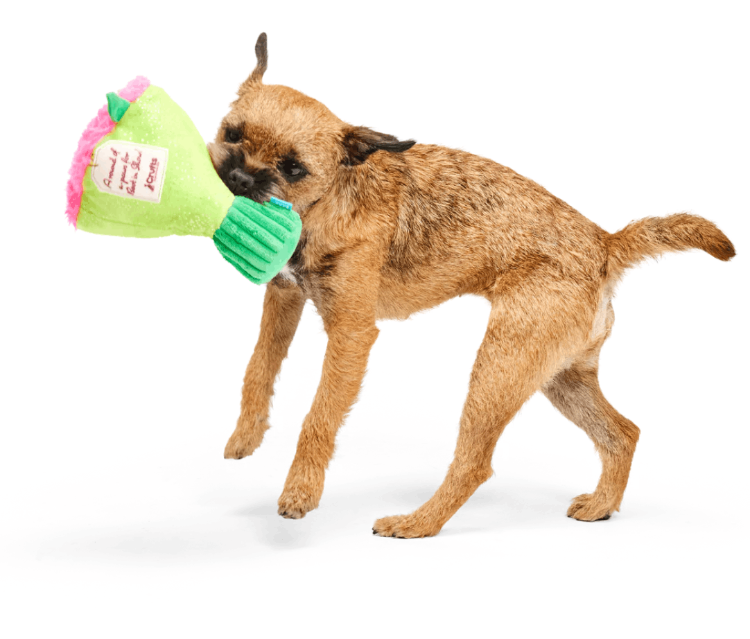 Bark x Crufts Boopquet of Roses Dog Toy