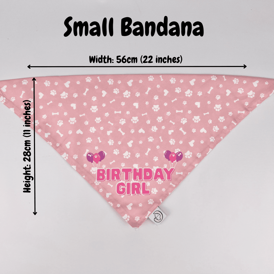 Small Birthday Girl Dog Bandana