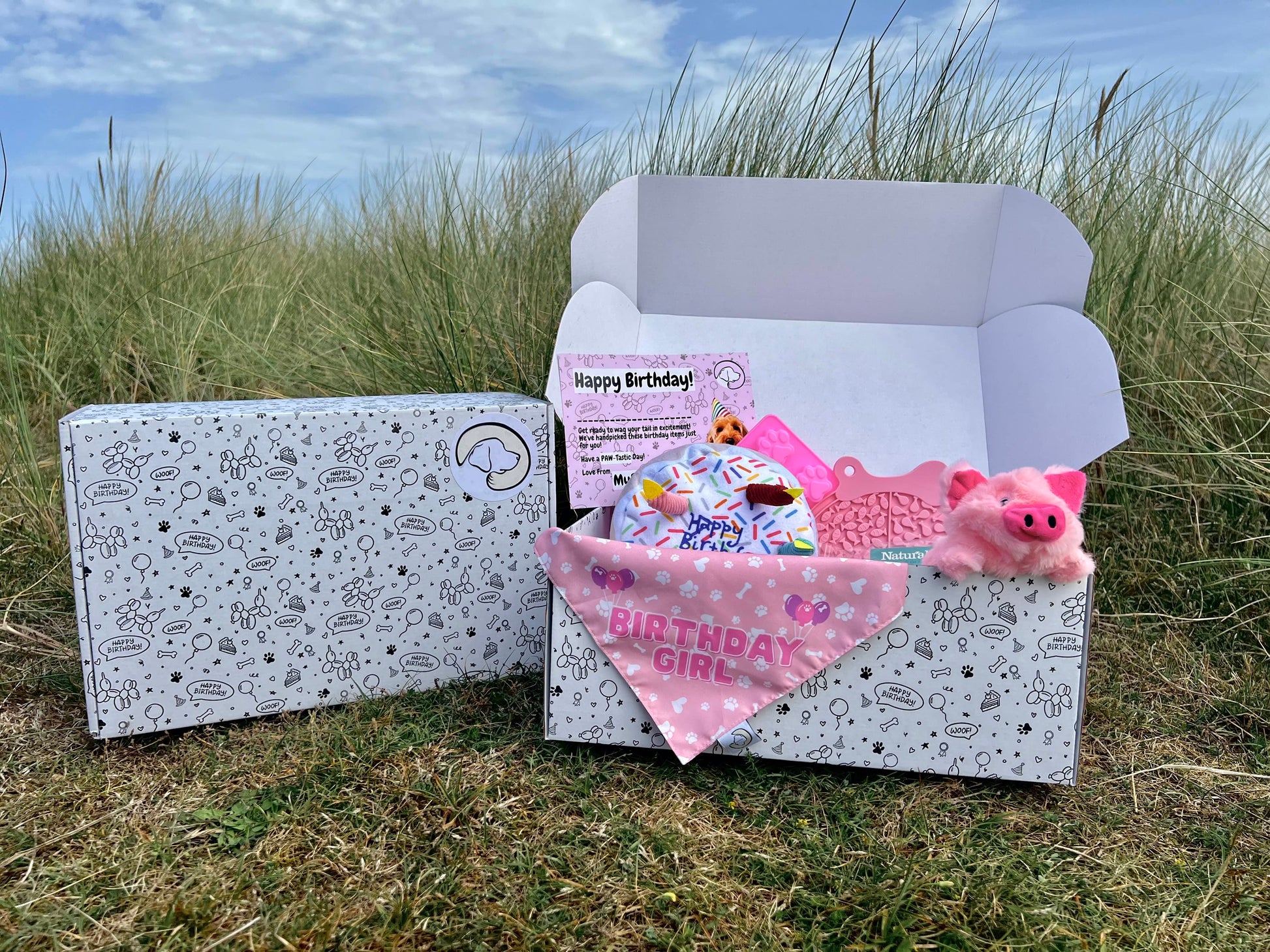 Birthday Girl Dog Hamper