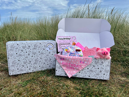 Birthday Girl Dog Hamper