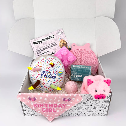 Birthday Girl Dog Hamper