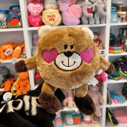 Brainey Bear in Love Toy