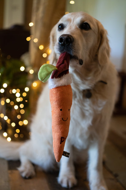 carter carrot plush dog toy