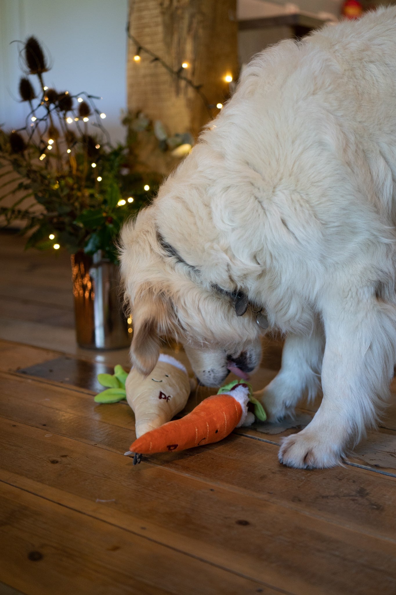 carter carrot plush dog toy
