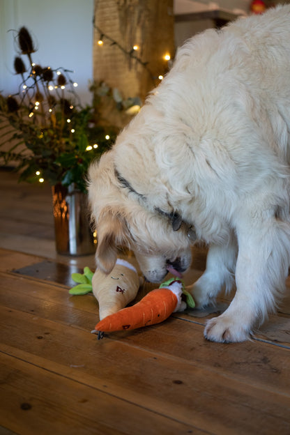 carter carrot plush dog toy