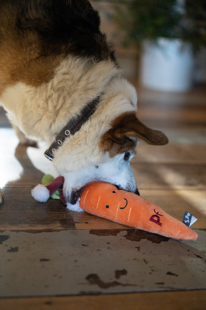 carter carrot plush dog toy