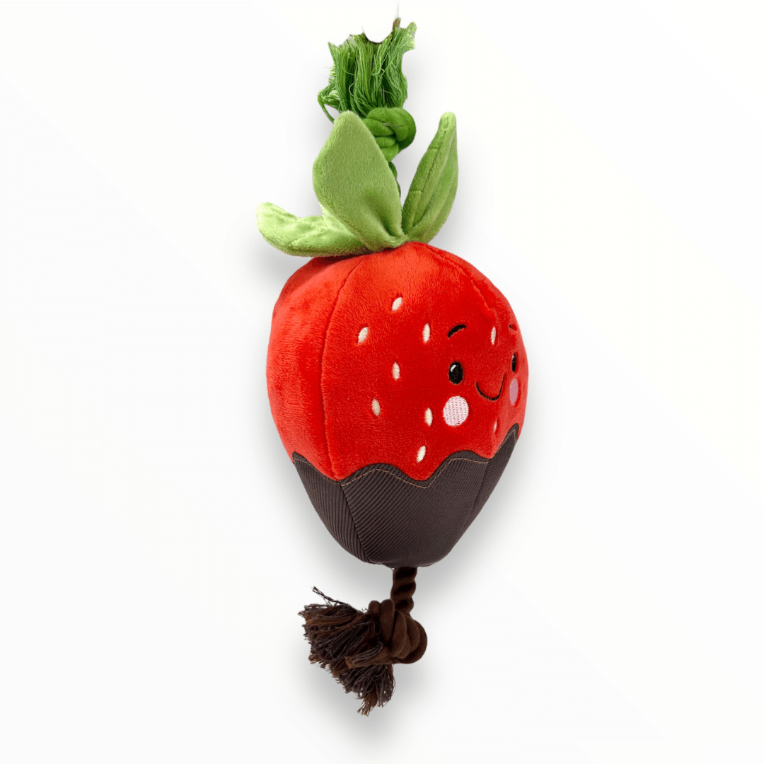 Large Chocolate Dipped Strawberry Dog Toy MyDogify