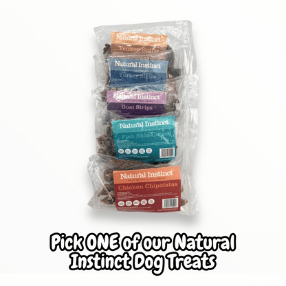 Birthday Girl Dog Hamper