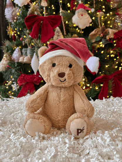 christmas teddy bear plush dog toy