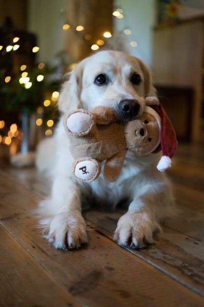 christmas teddy bear plush dog toy