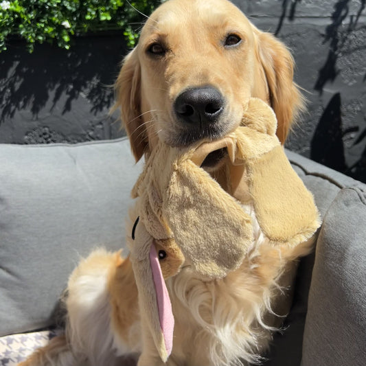 Crinkle Rabbit Toy