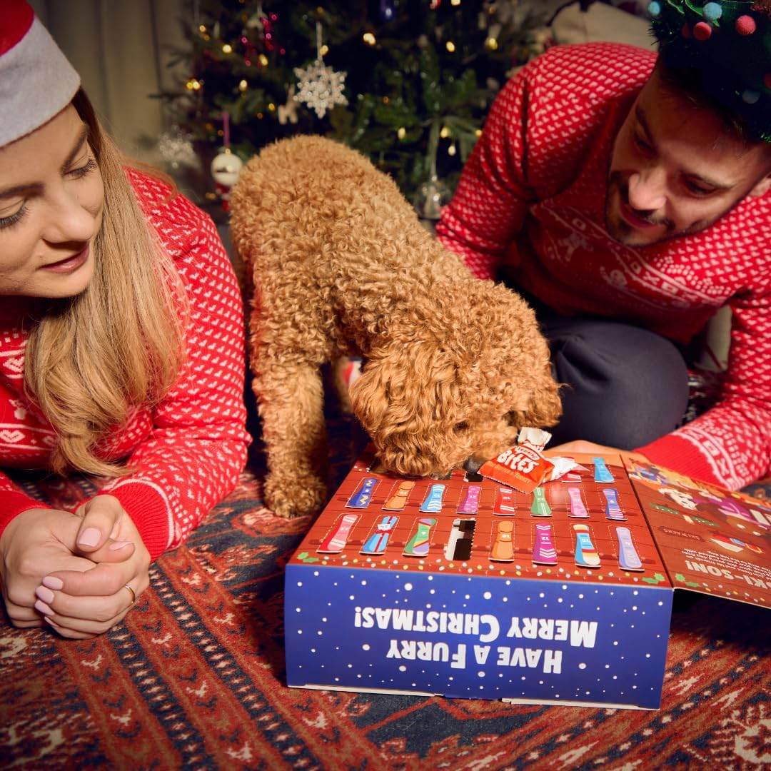 Denzel's Christmas Dog Advent Calendar