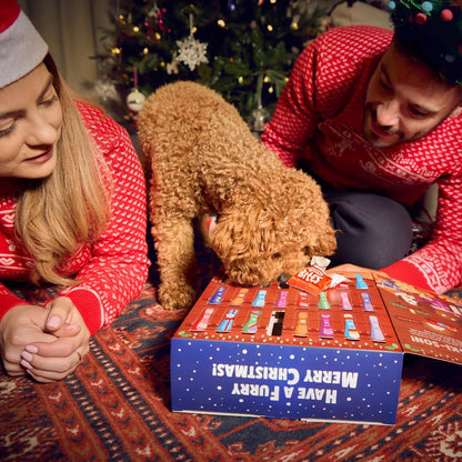 Denzel's Christmas Dog Advent Calendar