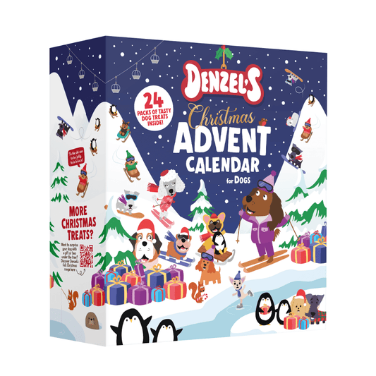 Denzel's Christmas Dog Advent Calendar
