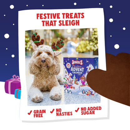 Denzel's Christmas Dog Advent Calendar