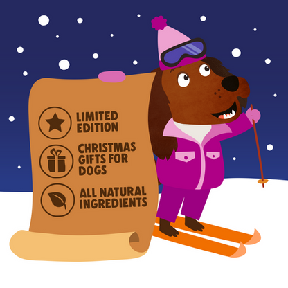 Denzel's Christmas Dog Advent Calendar