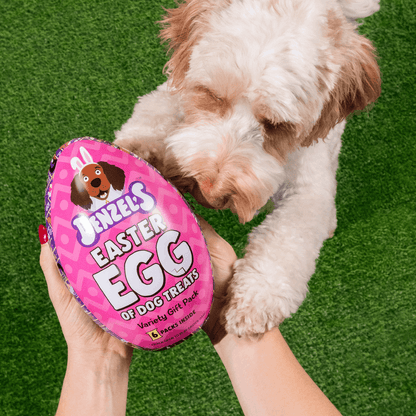 Denzel’s Giant Easter Egg for Dogs
