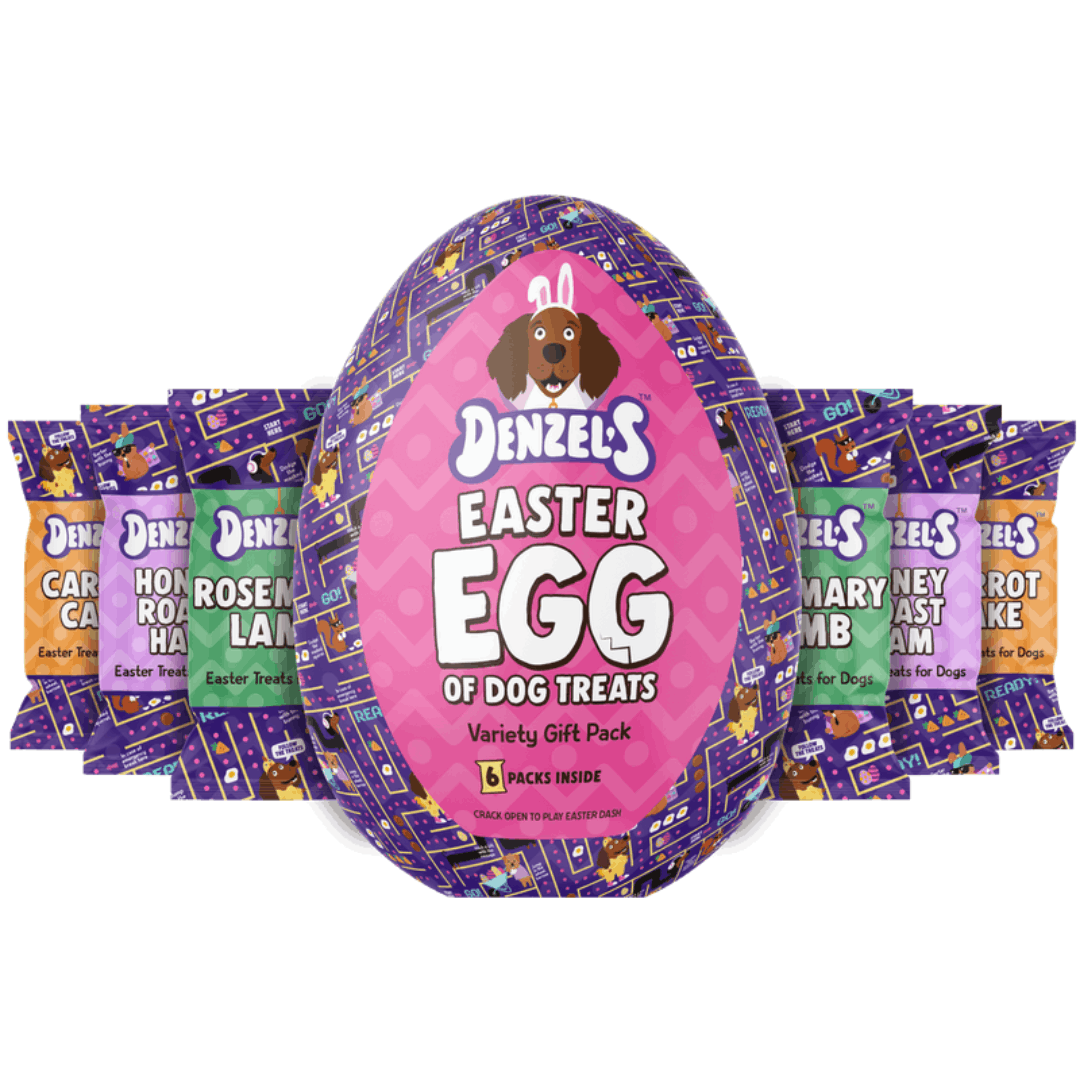 Denzel’s Giant Easter Egg for Dogs