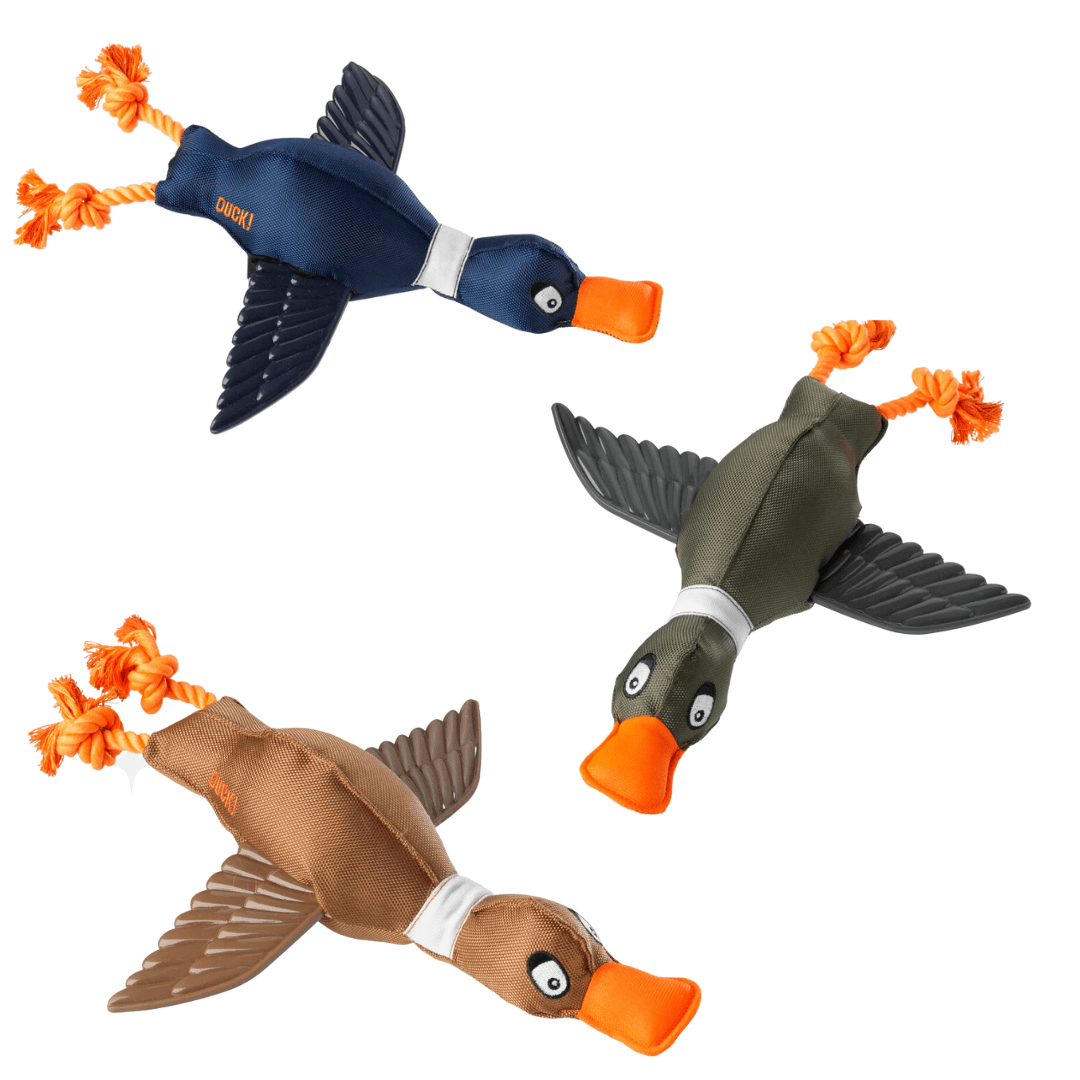 Duck Thrower With TPR Wings Rope Plush Dog Toy