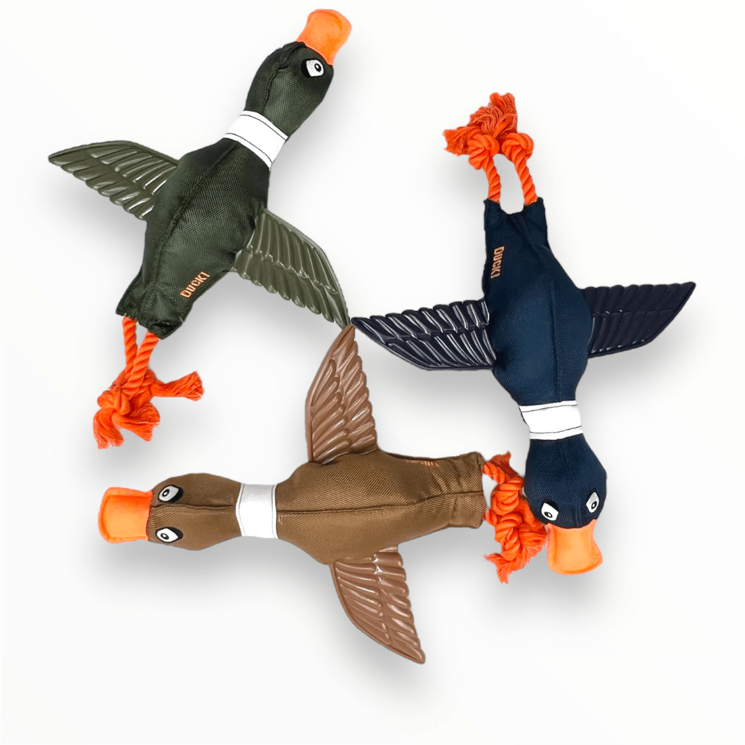 Duck Thrower With TPR Wings Rope Plush Dog Toy