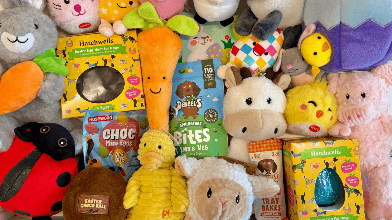 Easter dog toys and treats spring collection at MyDogify